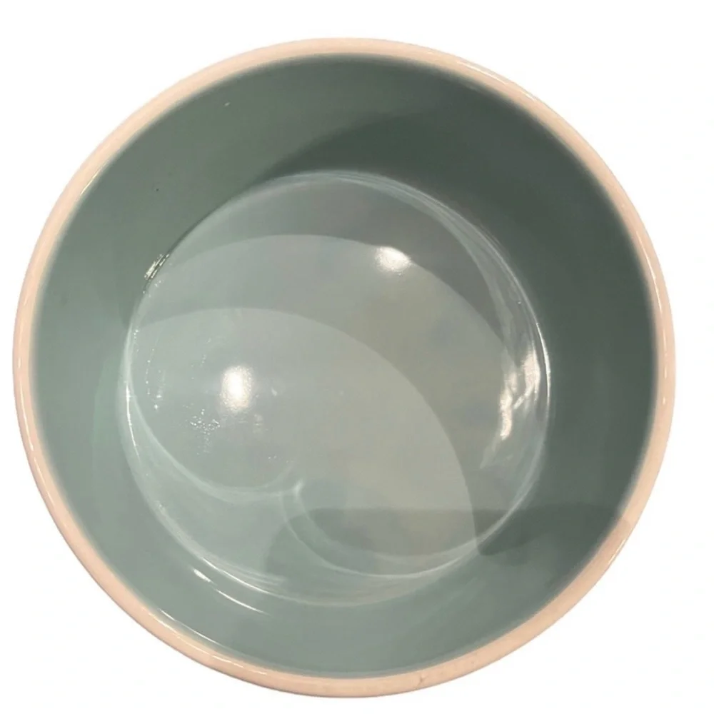 Rae Dunn Cream 'Chow Down' Dog Bowl